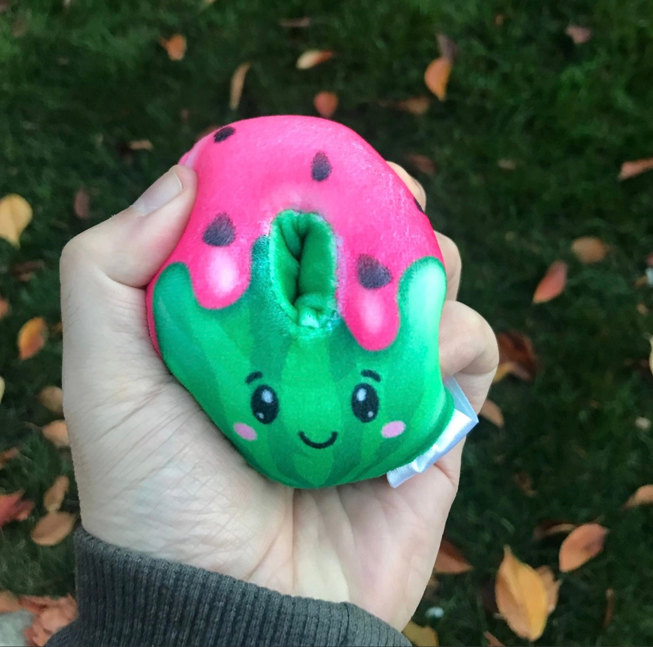 Plush Sugar Donuts - Fruit Edition